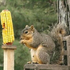 Meet your Posher, Beverly